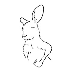 funny winking kangaroo, portrait of a cute animal, vector sketch