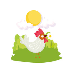 rooster bird flower grass sun farm animal cartoon