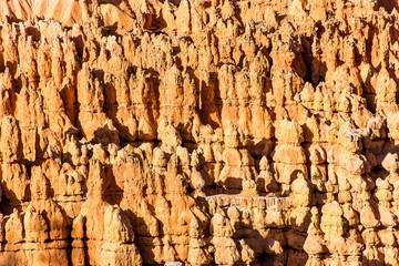 Hintergrund Hoodoos im Brace Canyon National Park