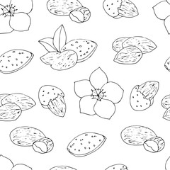 Hand drawn outline almond seamless. vector pattern with nuts and flowers. Natural food background.