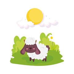 cute sheep flowers grass sun farm animal cartoon