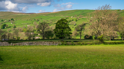 Fototapeta na wymiar Yorkshire Dales landscape in the Bishopdale Parish, near Newbiggin, North Yorkshire, England, UK