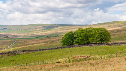 A cloudy day in the Yorkshire Dales near Oughtershaw, North Yorkshire, England, UK