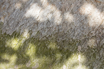 Brown stone flooring is a beautiful wall.