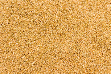 Quinoa seeds source of fiber