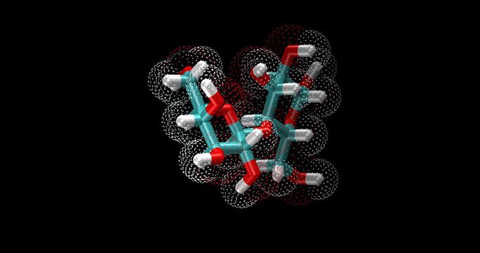 Lactose (glucose + galactose)  3D molecule spinning on Y axis
