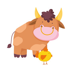 bull and chicken farm animal cartoon