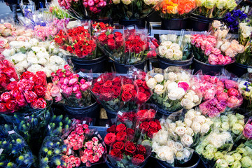 Wall of flowers in a flower shop