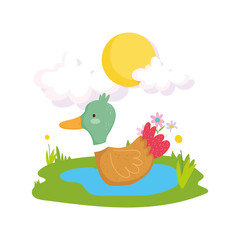 duck lake plants greenery farm animal cartoon