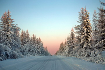 Obraz premium The road in the winter taiga forest