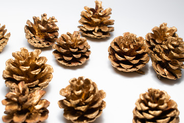 Pine cones arranged randomly on a white background