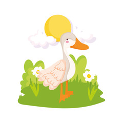 goose bird grass sun clouds farm animal cartoon
