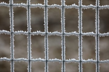 White frost on rectangular wire mesh in humid air and cold