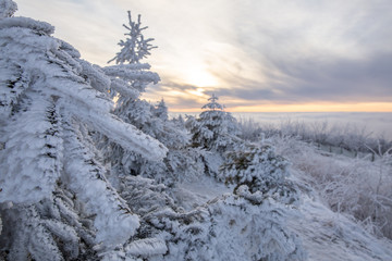 winter landscape beautiful sunset