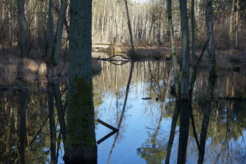 Flusslandschaft im Briesetal in Brandenburg