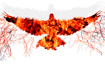 Flying bird in fire and flame silhouette of eagle or dove with lightnings and shadow on white...