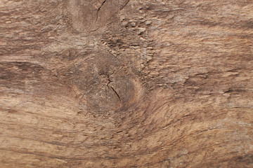 Brown wood texture background coming from natural tree. Abstract wooden panel with beautiful patterns.Background for interior design.