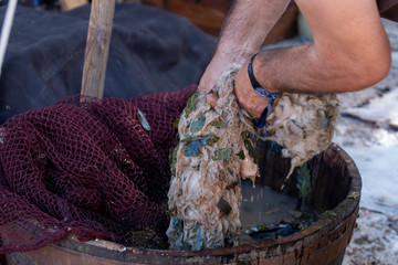 Animal hide being washed