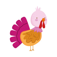 turkey bird farm animal cartoon background