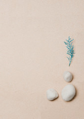 blue plant, sea stones, on beach sand background, top view