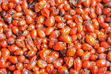 Dried rosehips. Useful tea with rose hips. Gather medicinal rose hips in autumn. Vitamin C in wild rose hips.