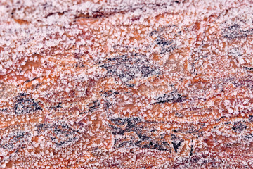 Bright brown tree trunk with ice crystal on the bark on a cold and frosty winter morning in Germany in December as a background
