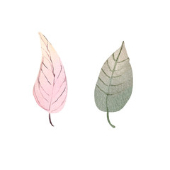 Autumn leaf watercolor illustration element decor plant