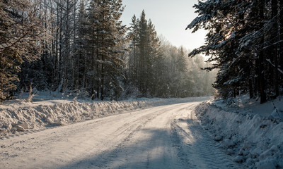 Obraz premium Winter