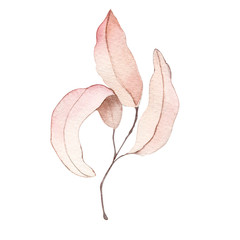 Autumn leaf branch watercolor illustration element decor plant