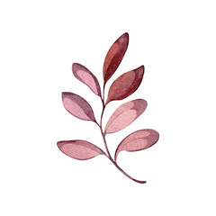 Autumn leaf branch watercolor illustration element decor plant