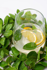 mojito cocktail on a white background