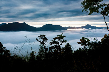 Sea of mist landscape