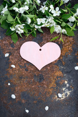 Valentine's Day card with pink heart  and flower of apple