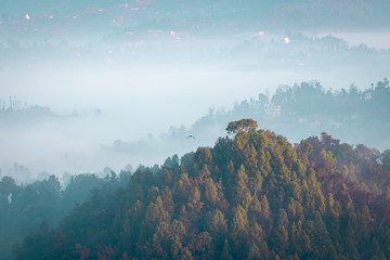 Moody Dramatic view of hills covered in fog