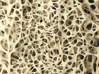 Realistic bone spongy structure close-up, healthy texture of bone, 3d illustration