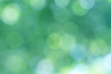 Obraz premium Beautiful abstract background of holiday lights