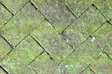Mossy brick floor