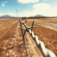 barbed wire fence in a field