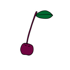 Vector illustration of ripe red cherry