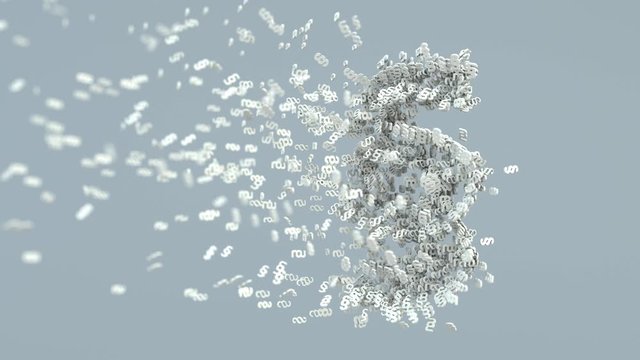 4k Video, paragraph by paragraphs, ProRes 4444