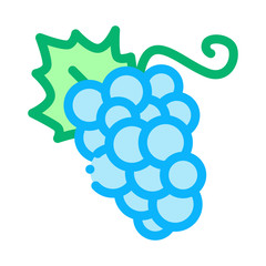 Grape Berries Icon Vector. Outline Grape Berries Sign. Isolated Contour Symbol Illustration