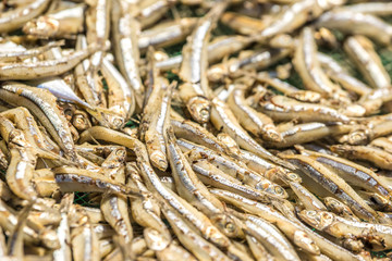 dry fish in viet nam