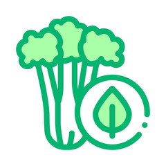 elery Plant Icon Vector. Outline elery Plant Sign. Isolated Contour Symbol Illustration