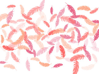 Fluffy twirled feathers on white design.