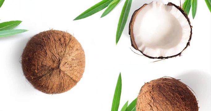 Motion animation with coconut. Coconut animation on the white background. Top view 4k.