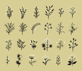 Floral Vector Set of Design Plant Elements. Doodle Branches with Leaves, Flowers and Berries