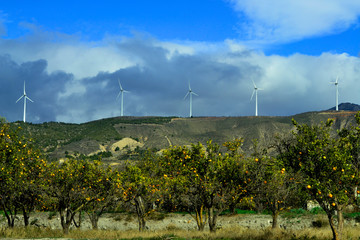 Wind Turbines overlooking orange grove, Lecrin Valley Spain