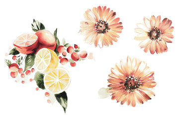 Flowers watercolor illustration.Manual composition.Big Set watercolor elements.
