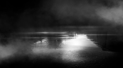 Fototapeta na wymiar Night futuristic landscape, cold night, smog, trees in the fog. Reflection of the light.