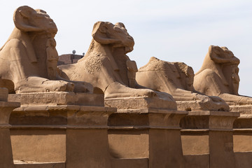 Alley of the ram-headed Sphinxes. Karnak Temple, complex of Amun-Re. Luxor, Egypt.